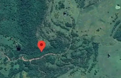 Terra com 208 hectares, no interior de caçapava, para gado, oliveira ou eucaliptos.