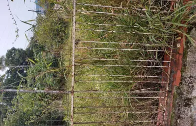 Lote/terreno para venda tem 710 metros quadrados em cristo redentor - porto alegre - rs