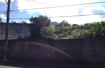 Terreno comercial à venda na Rua Mariana Najar, Vila Oliveira, Mogi das Cruzes