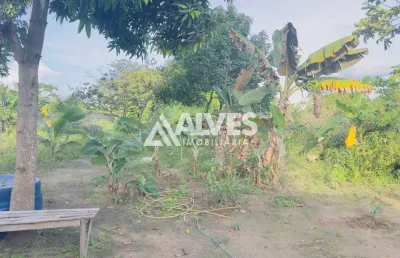 Terreno comercial à venda na Rua Tupinambás, Mangabeira, Feira de Santana