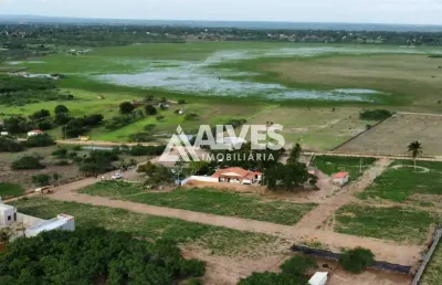 Terreno à venda na Estrada do Francês, Papagaio, Feira de Santana