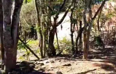 Terreno à venda, 1190 m² por r$ 190.000,00 - limeira - pouso alegre/mg