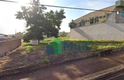 Terreno para alugar, 300 m²  - alto da boa vista - ribeirão preto/sp