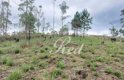 Terreno à venda, 2324 m² por r$ 140.000,00 - clube dos oficiais - suzano/sp