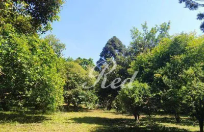 Chácara com 3 dormitórios à venda, 7485 m² por r$ 570.000,00 - estância são luís - suzano/sp