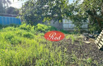 Terreno para alugar, 300 m² por r$ 3.000,00/mês - recreio bela vista - suzano/sp