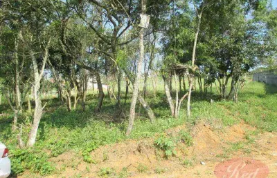 Terreno à venda, 36155 m² por r$ 1.900.000,00 - vila são pedro - suzano/sp