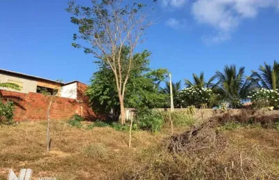 Chácara com 1 dormitório à venda, 46100 m² por r$ 530.000,00 - pirangi do norte
