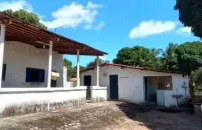Granja com 7.000m² próximo a prf de são josé de mipibu / br 101