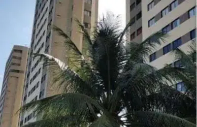 Apartamento com 3 dormitórios à venda, 76 m² por r$ 388.000 - nova parnamirim -