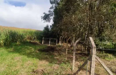Chácara / sítio à venda na Estrada da Ratada, Zona Rural, Campo Largo