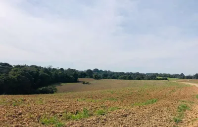 Chácara / sítio à venda na Rua Adão Soares de Oliveira, s/n, Capela Velha, Araucária