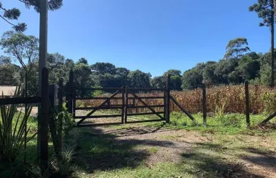 Chácara / sítio à venda no São Caetano, Balsa Nova 