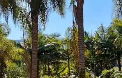 Casa à venda, 2 quartos, três rios do norte - jaraguá do sul/sc