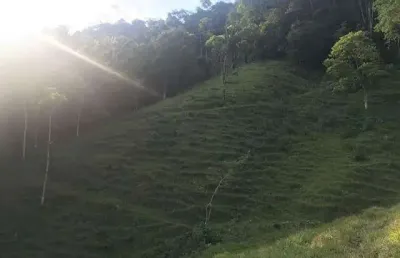 Chácara / sítio à venda, 2 quartos, três rios do norte - jaraguá do sul/sc