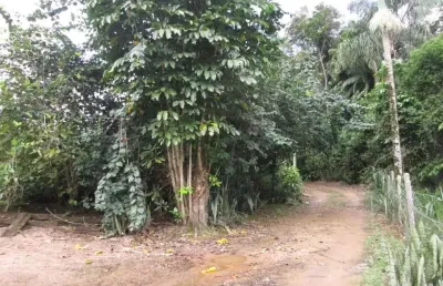 Chácara / sítio à venda, 2 quartos, nereu ramos - jaraguá do sul/sc