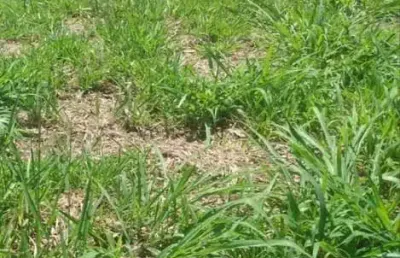 Terreno residencial à venda, centro, charqueada - te0088.