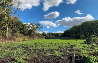 Terreno residencial à venda, santa rita, piracicaba - te0293.