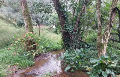 Terreno à venda na Rua Vereador Dinarte de Almeida Garrett, São Luiz do Purunã, Balsa Nova