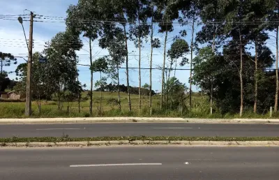 Terreno comercial/residencial próximo ao hospital rocio