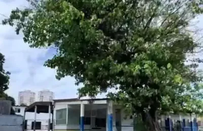 Terreno comercial para venda em salvador, pernambués