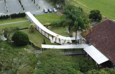 Chácara com 1 dormitório à venda, 20000 m² por r$ 6.000.000,00 - itoupavazinha - blumenau/sc