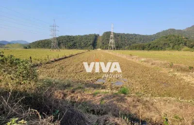 Terreno à venda, 3500 m² por r$ 1.750.000,00 - rio do meio - itajaí/sc