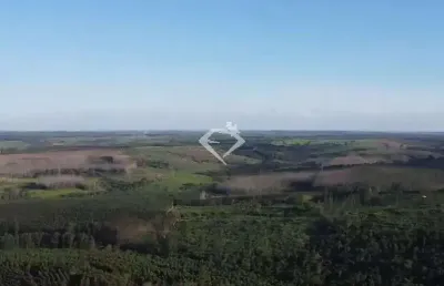 Chácara / sítio à venda na Zona Rural, Timburi 