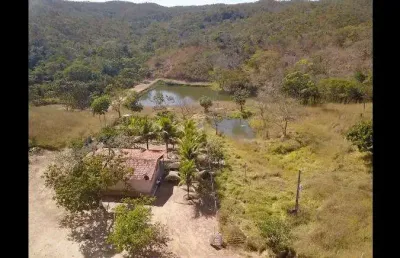 Fazenda de 40 alqueires em orizona - go fazenda à venda, 1936000 por r$ 5.000.000 vn14388