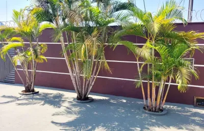 Casa pedro ludovico  casa de rua com 3 quarto(s) e 6 banheiro(s) à venda, 365 por r$ 750.000 no setor setor pedro ludovico ad24349