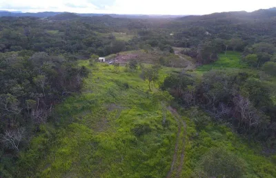 Chácara cidade de goiás chácara à venda, 338800 por r$ 1.100.000 ta24629