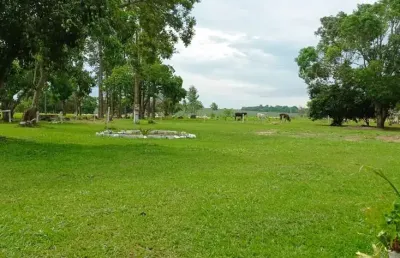 Uma linda chacar no novo gama  chácara à venda, 72260 por r$ 1.700.000 in25110