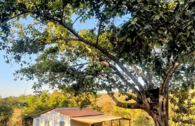 Chácara com edificação - caldazinha chácara à venda, 2000 por r$ 230.000 vn23860