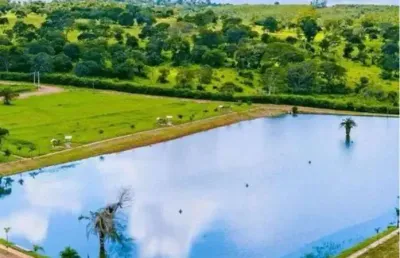 Lote em trindade área / terreno à venda, 1036.12 por r$ 235.000 no setor setor dona iris ii sl29125