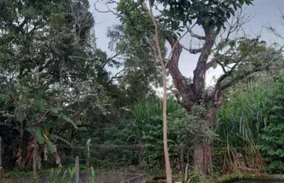 Chácara em senador canedo chácara à venda, 3061.93 por r$ 420.000 in29077