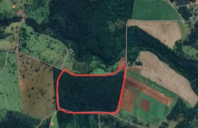 Oportunidade rara: terra de cultura em teresópolis-go  9 alqueires (43,56 ha) de solo fértil, virgem e com mata preservada! chácara à venda, 43562.98 por r$ 2.655.000 ad30132