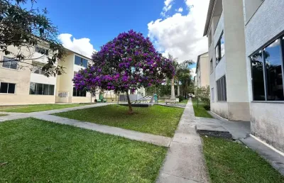Residencial bem viver entre o novo mundo e próximo do centro de goiânia  apartamento com 2 quarto(s) e 2 banheiro(s) à venda, 60 por r$ 200.000 no setor vila martins ta31091