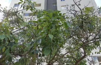 Apartamento parque amazônia  apartamento com 2 quarto(s) e 2 banheiro(s) à venda, 66.4 por r$ 440.000 no setor parque amazônia in32090