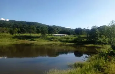 Fazenda 150 hectares em hidrolandia go fazenda à venda, 150 por r$ 7.900.000 fl32108
