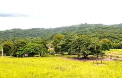Fazenda fazenda à venda, 2047772 por r$ 10.500.000 ax32367