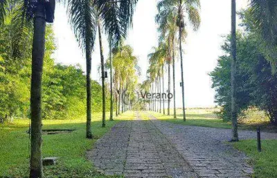Terreno à venda, 20395 m² por r$ 2.500.000,00 - jardim martinelli (sousas) - campinas/sp