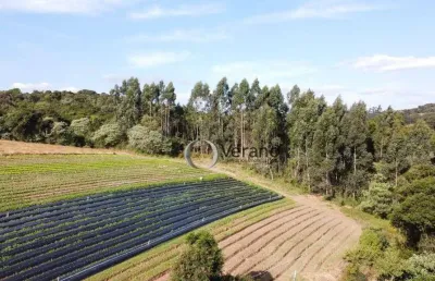 Sítio à venda, 212000 m² por r$ 500.000,00 - sarapui de cima - piedade/sp