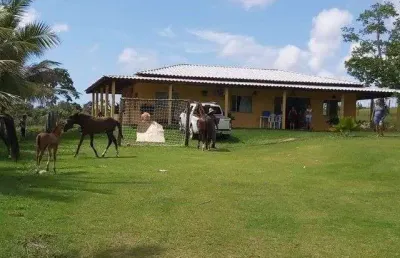 Sítio com 4 dormitórios à venda, 40000 m² por r$ 1.100.000,00 - barra do pojuca - camaçari/ba
