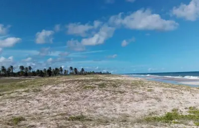 Terreno à venda, 100000 m² por r$ 750.000,00 - litoral norte - jandaíra/ba