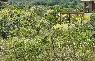 Terreno à venda, 800 m² por r$ 649.000 - acú da torre/condomínio ilha dos pássaros - mata de são joão/ba