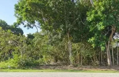 Terreno à venda, 600 m² por r$ 1.150.000,00 - praia do forte - mata de são joão/ba