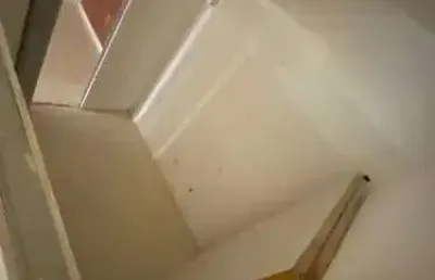 Loja para alugar, 20 m² por r$ 1.200,00/mês - parque bela vista - salvador/ba