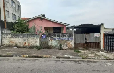 Terreno para venda - bela vista - osasco - são paulo - authêntica imóveis