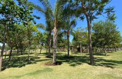 Terreno à venda no alto do castelo 1, ribeirão preto, sp,