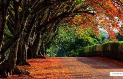 Terreno em condomínio fechado à venda na Rua Nelson Simões Peixeiro, Vila do Golf, Ribeirão Preto